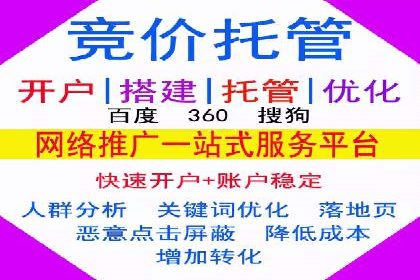SEM代理的优化策略及成功案例